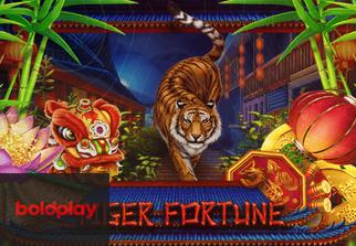 Tiger Fortune
